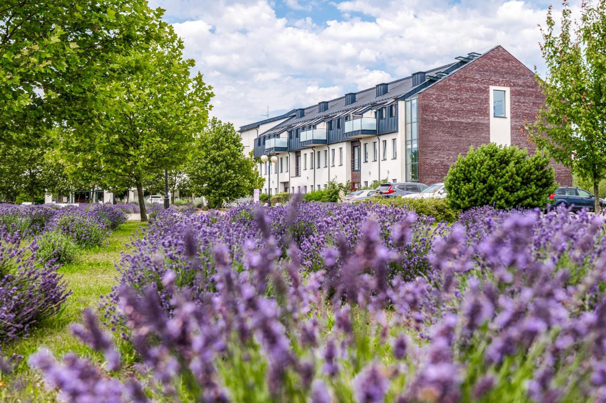 Lawendowe Termy Hotel Uniejow Exterior photo